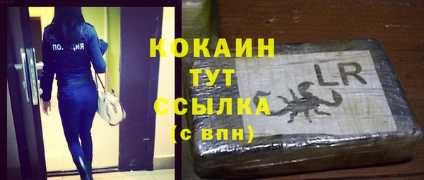 гашик Лагань
