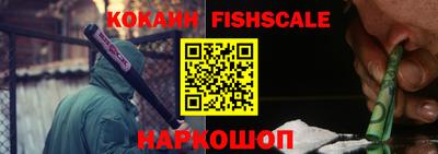 a pvp Камышлов
