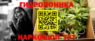 бошки Гусев