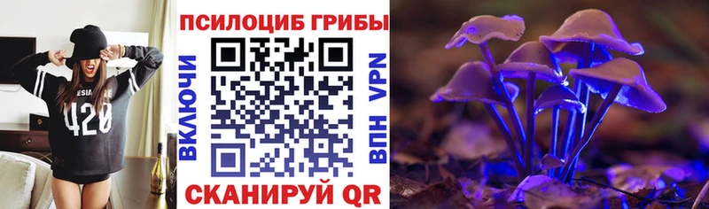 как найти закладки  Хасавюрт  Галлюциногенные грибы мицелий 