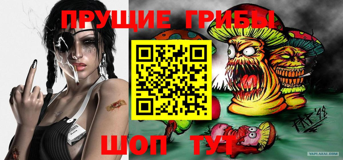 Псилоцибиновые грибы Magic Shrooms  Псилоцибиновые грибы мухоморы  Хасавюрт  Вход с VPN 
