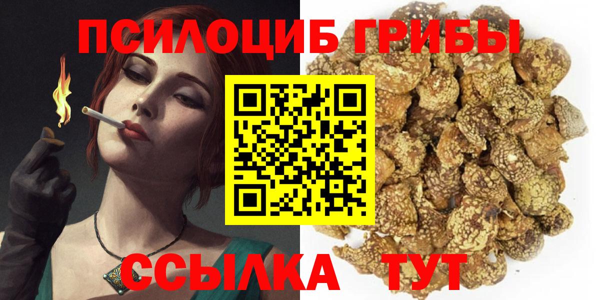 Галлюциногенные грибы прущие грибы Хасавюрт