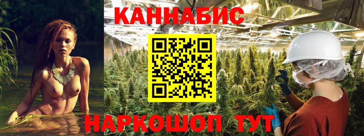 Шишки марихуана Amnesia  Бошки марихуана индика  Каннабис VHQ  Вход с VPN  Хасавюрт  Бошки Шишки семена 